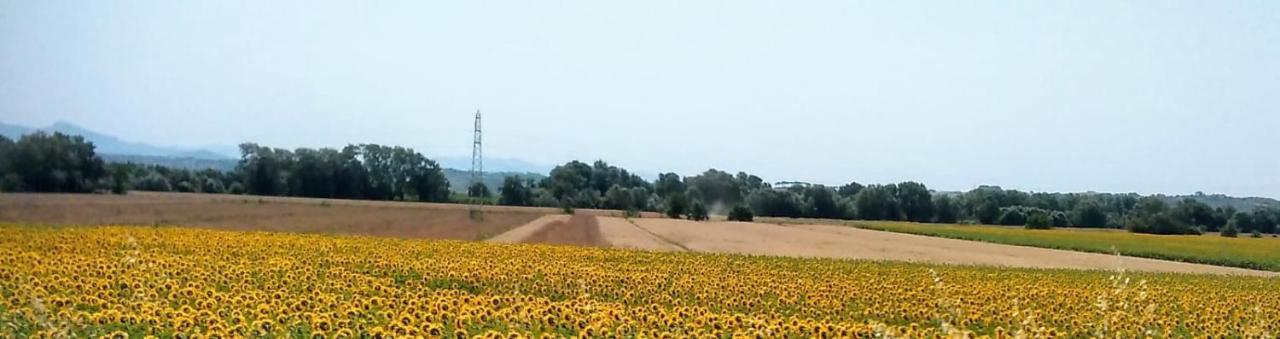Splendido Ampio Appartamento A Montepulciano Stazione Εξωτερικό φωτογραφία