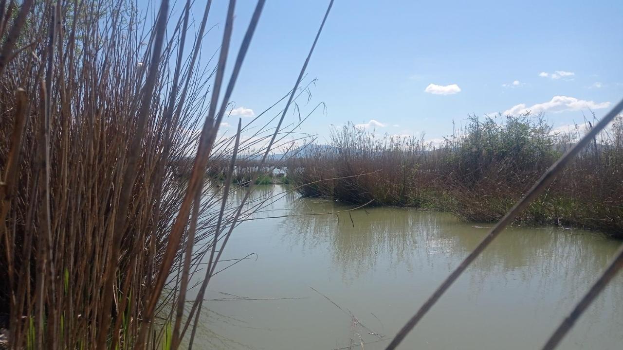 Splendido Ampio Appartamento A Montepulciano Stazione Εξωτερικό φωτογραφία
