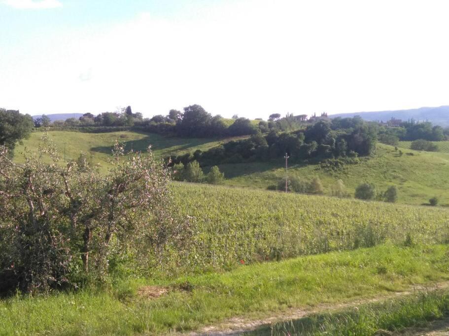 Splendido Ampio Appartamento A Montepulciano Stazione Εξωτερικό φωτογραφία