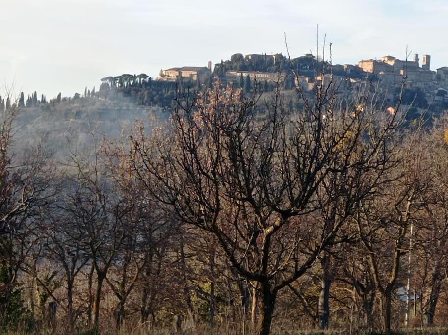 Splendido Ampio Appartamento A Montepulciano Stazione Εξωτερικό φωτογραφία