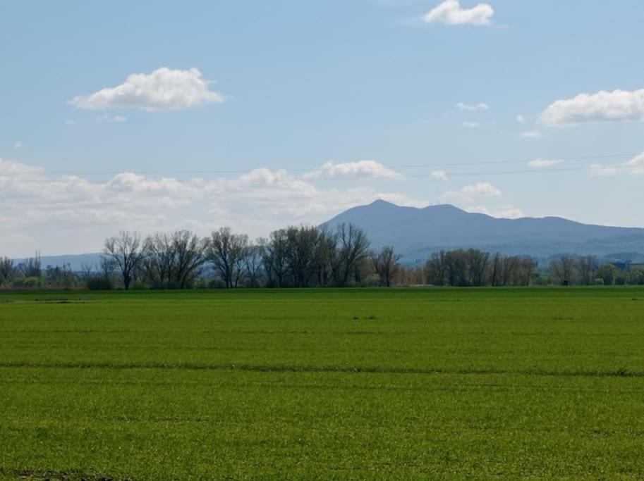 Splendido Ampio Appartamento A Montepulciano Stazione Εξωτερικό φωτογραφία